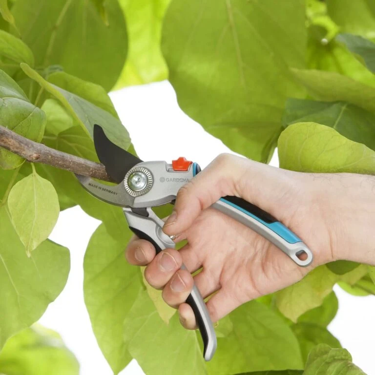Goedkope Hof Liefde Winkel -Goedkope Hof Liefde Winkel 2